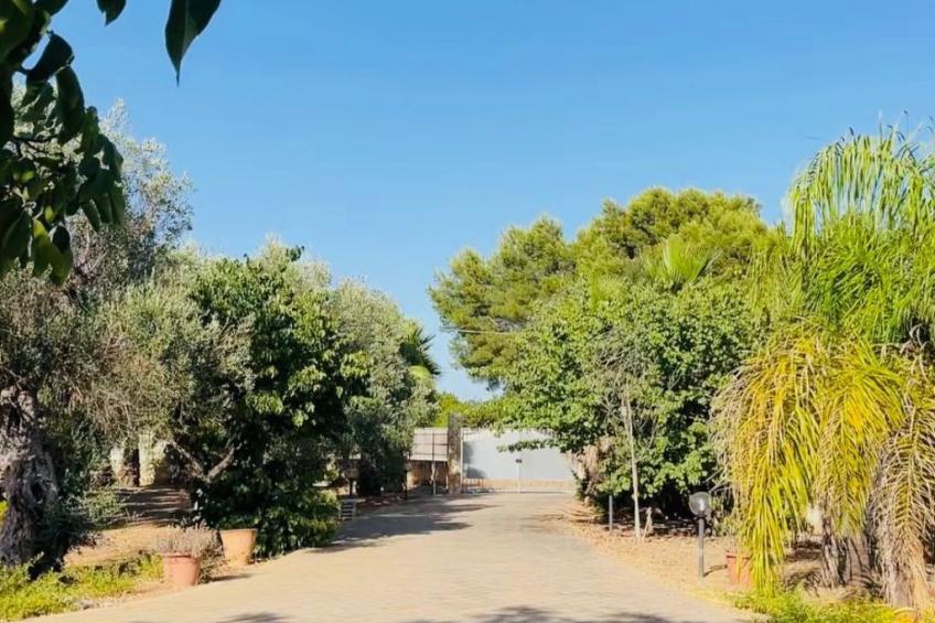 Ein erholsamer Urlaub zwischen Natur und Meer - foto 15