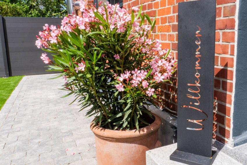 Schule Altes Land - foto 5