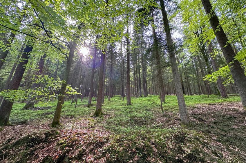 Feriendorf Seeblick - Tiny Nr 4 - foto 26