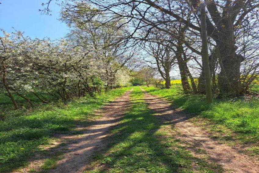 "Schöne Aussichten" Gerdshagen - foto 35