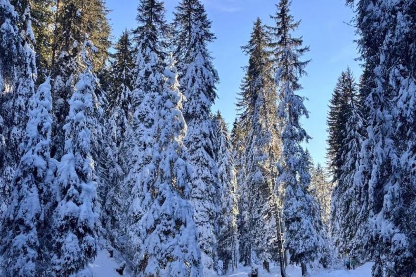 Morgins 6P, Ski-in Ski-out, Parkplatz, zentral, WiFI - foto 38