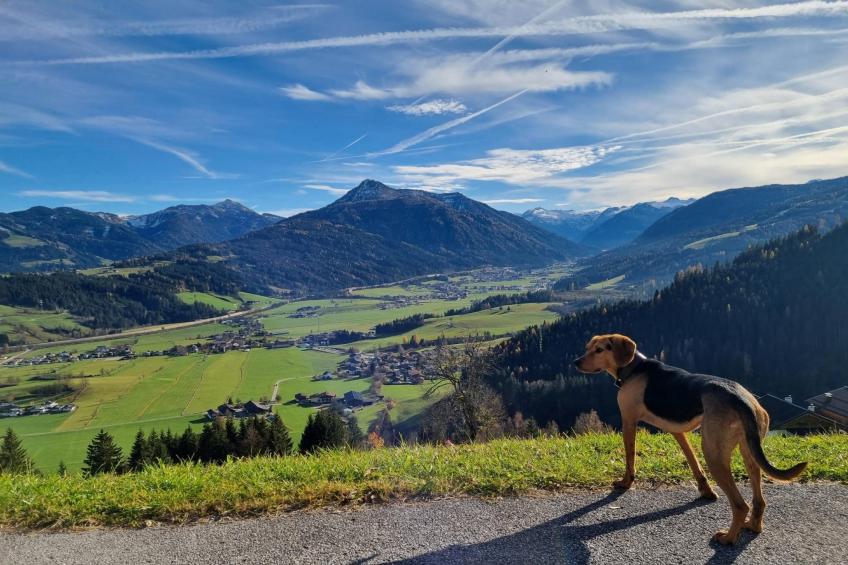 Vakantiehuis, Flachau - foto 13
