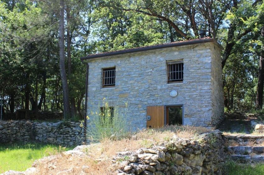 Mago in Ameglia - foto 32