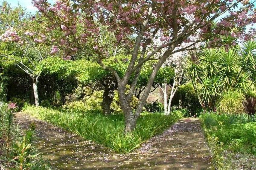 Finca "Quinta do Bento Novo" - foto 11