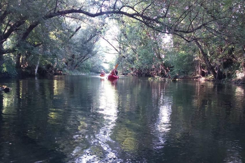 Freistehende Villa Iva Grubine mit Privatpool - foto 45