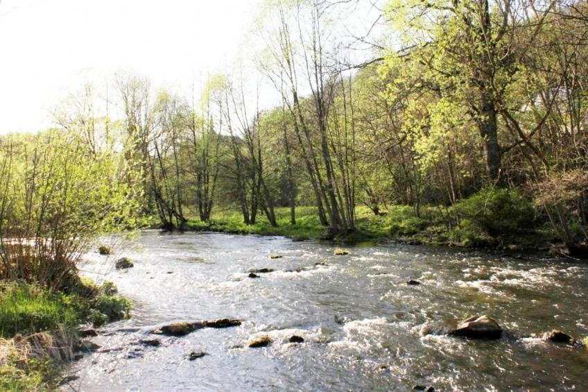Modernes FERIENHAUS ALLRODE mit Wellness - foto 31