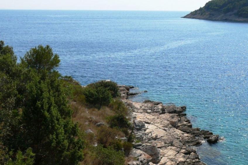 "Lile" mit Blick auf das Wasser - foto 42