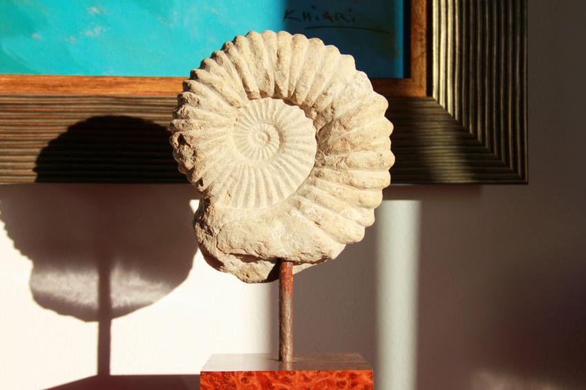 Villa Infinite Place - foto 29