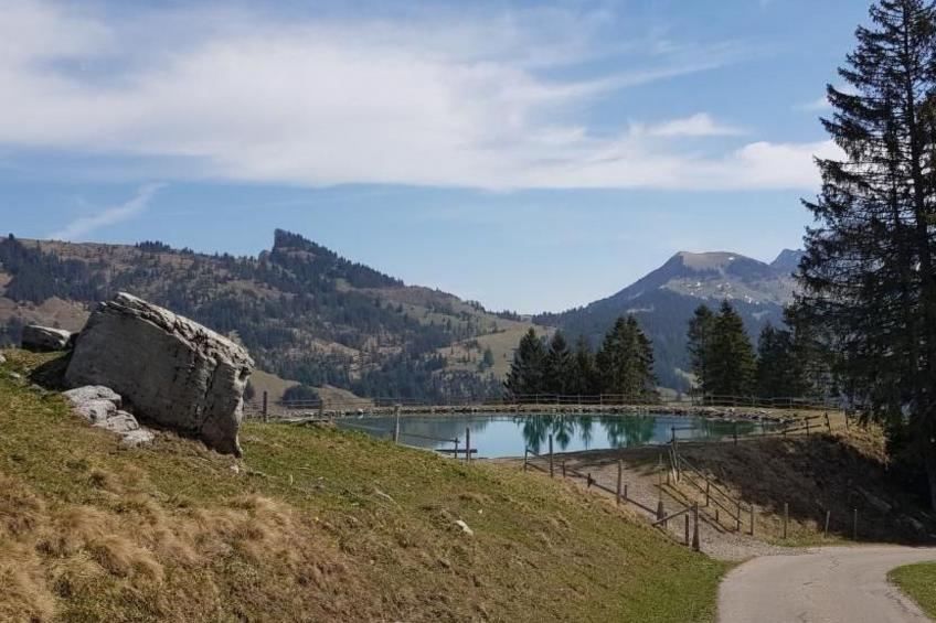 Kolibri Hochparterre - foto 25