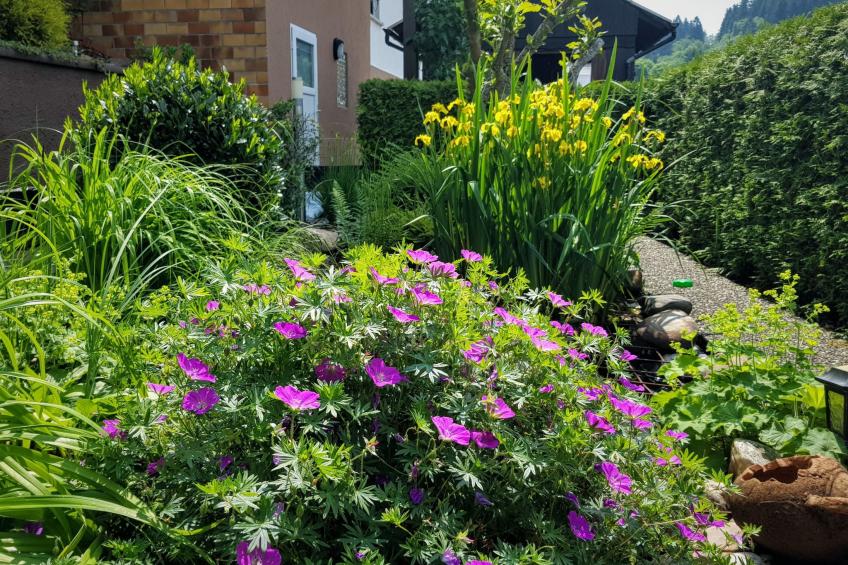 mit Blick auf das Wasser - foto 10