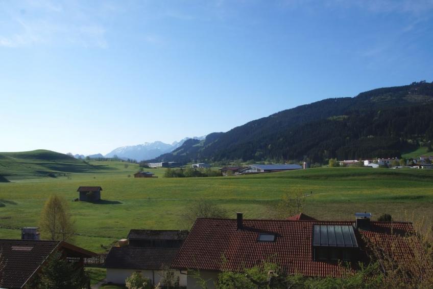 229539