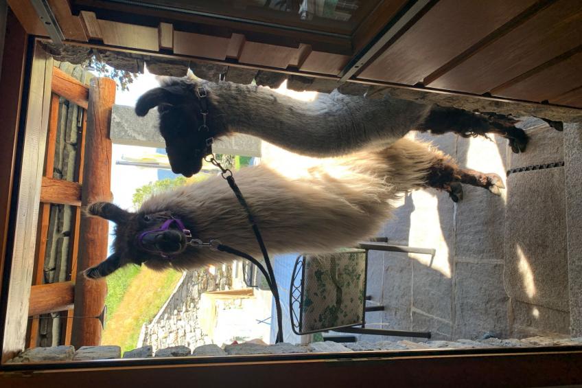 Cà du Papa 2 - foto 14