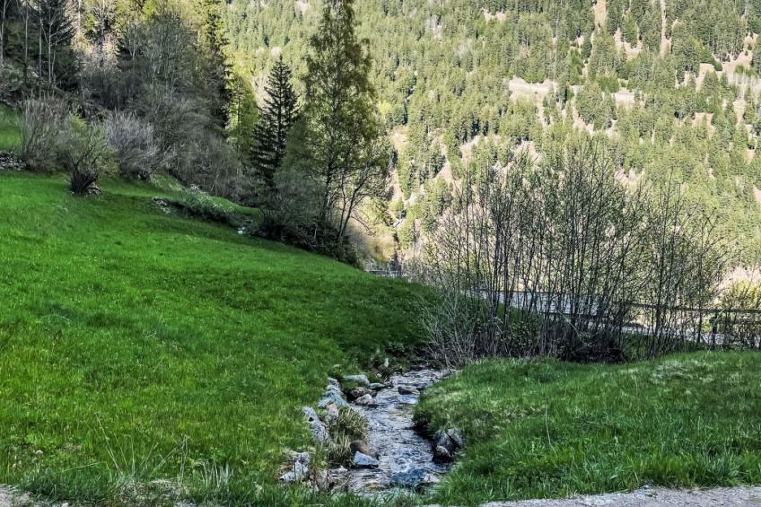 Maiensäss La Scera - foto 42