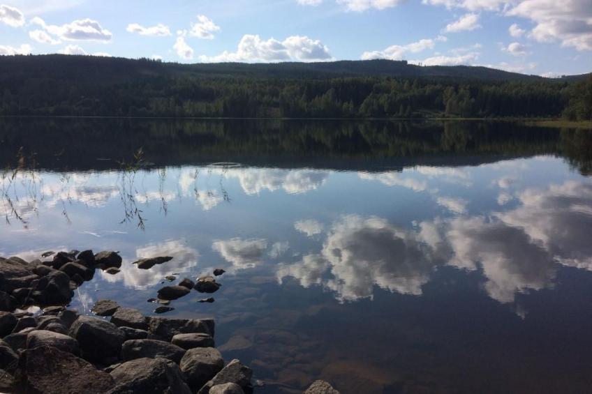 Haus Gård Solhag - foto 23