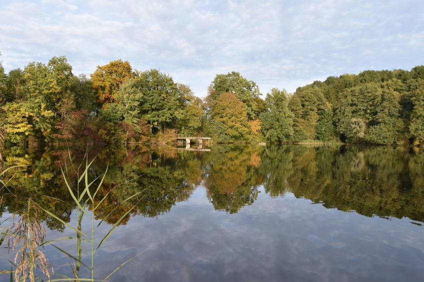 "Haus in der Einöde" - foto 40