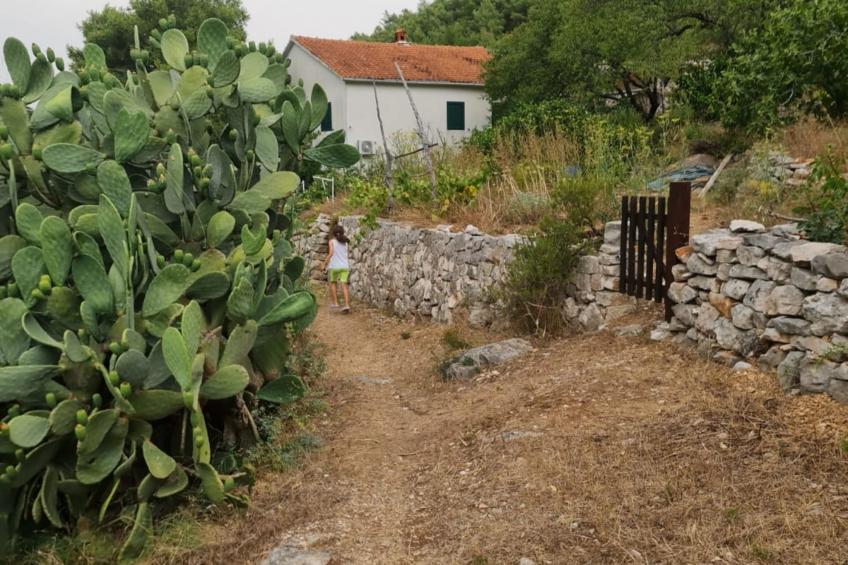 Apartments Stiniva Hvar - Studio Apartment With Terrace (A2) - foto 19