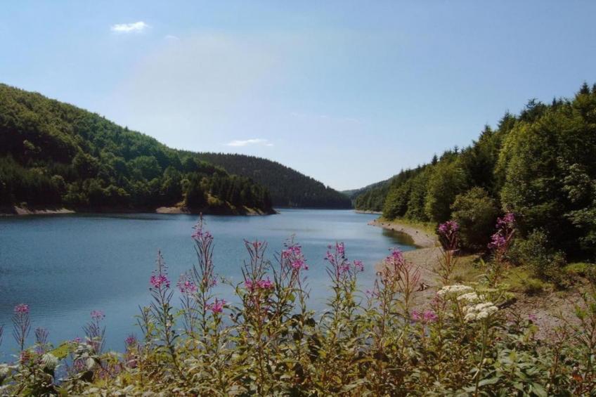 Thüringer Wald - foto 33