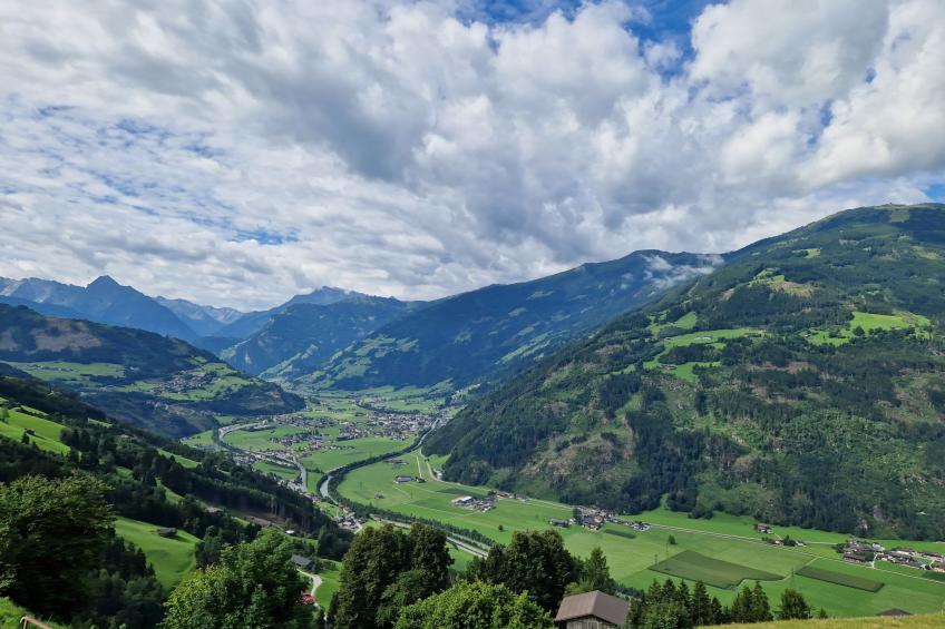 Lindenthaler - foto 2