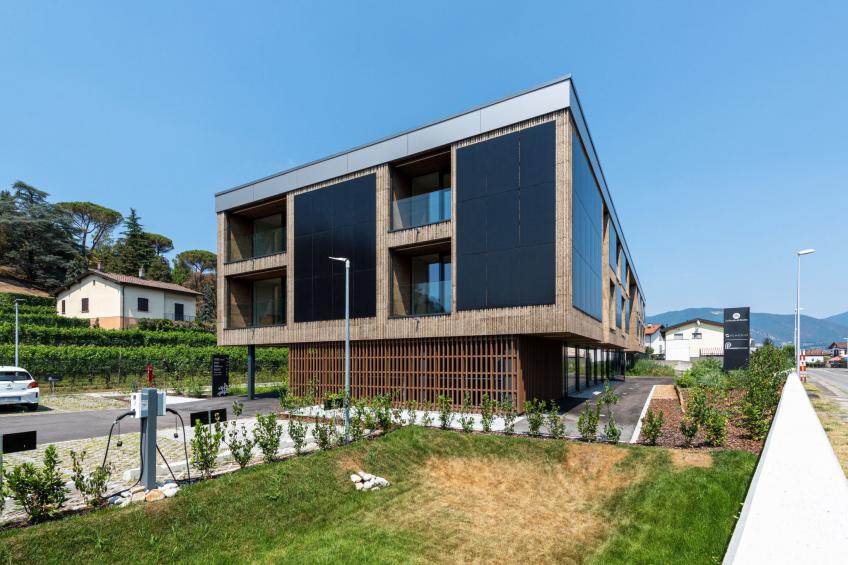 Lo Scudo di Stabio 1 Zi.Studio Süd. - foto 5