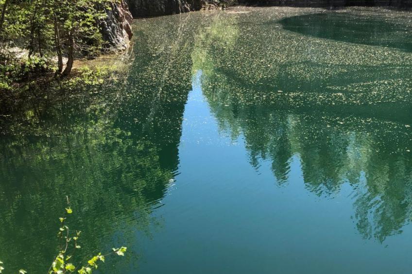 Ölrun Stuga - foto 35