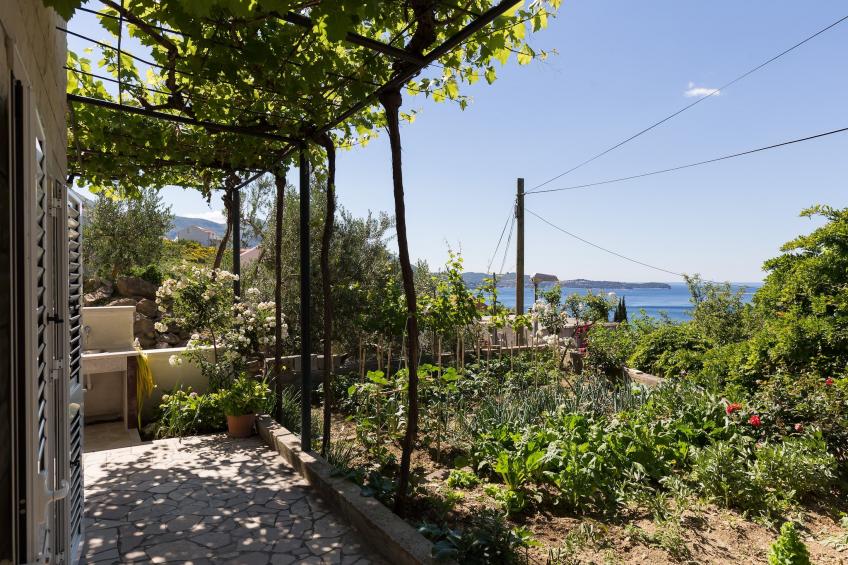 Apartments Olive - One Bedroom Apartment with Terrace and Partial Sea View - Popolica 50 - foto 18