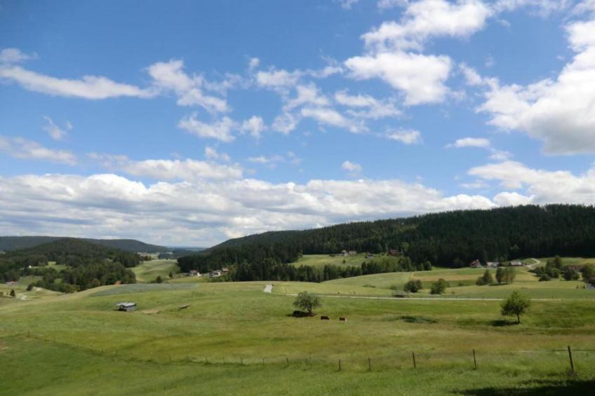 Helmut Epting - foto 38