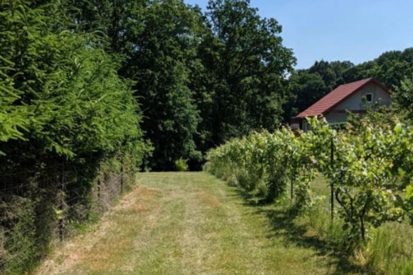 "Ferienhaus GolczaVita" - foto 31