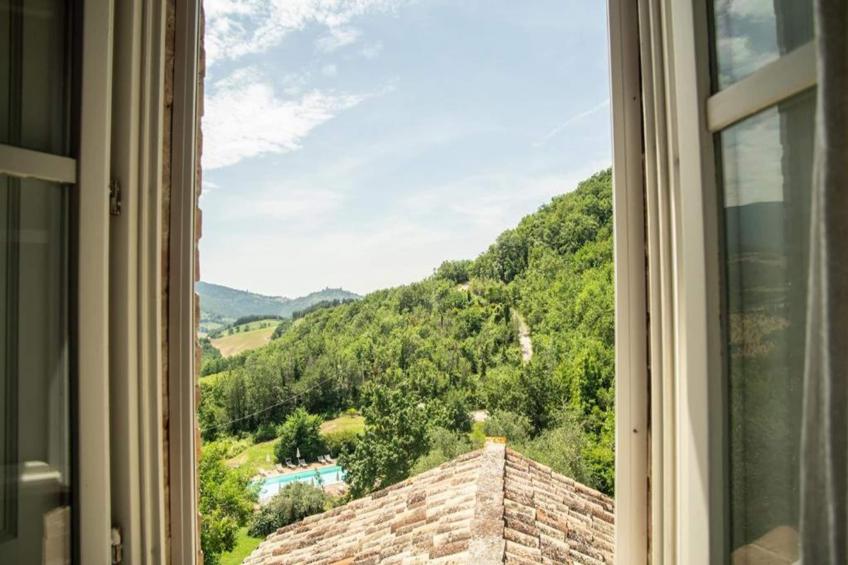 Sole - foto 36