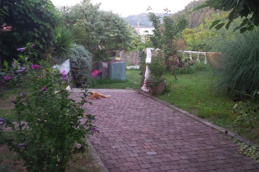 Appartement mit Balkon - foto 2