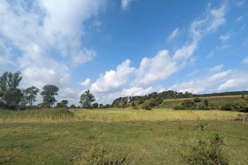 Apartment, Lütow - foto 32