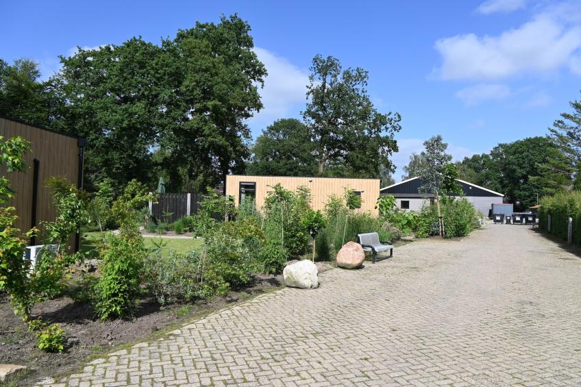 Vogelspotlodge Scholekster - foto 28