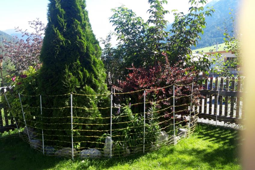 Mundaditschas, (Sta. Maria - Santa Maria Val Müstair) - foto 21