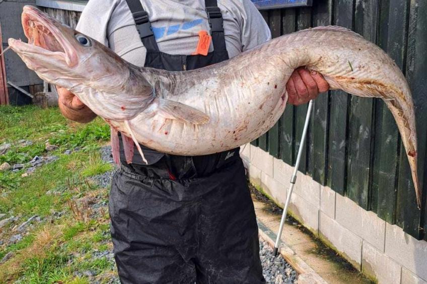 Stabben Blue House - foto 33