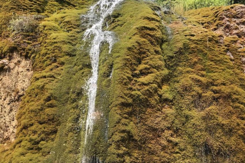 Waldferienpark Gerolstein 1 - foto 35