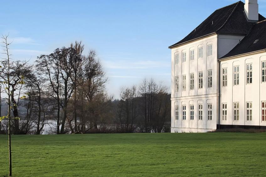 "Babette" - 75m to the inlet in SE Jutland - foto 19