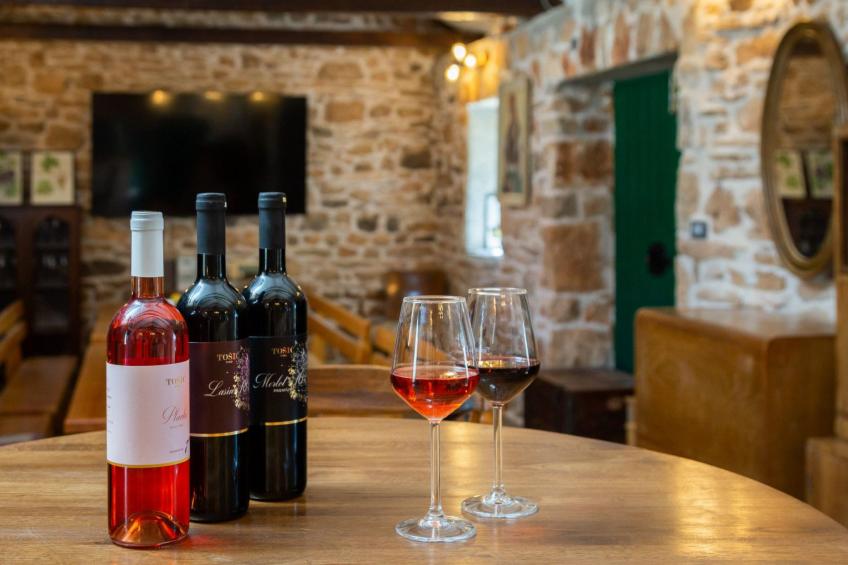 Haus für 11 Personen und 1 Kind in Razvode - foto 26