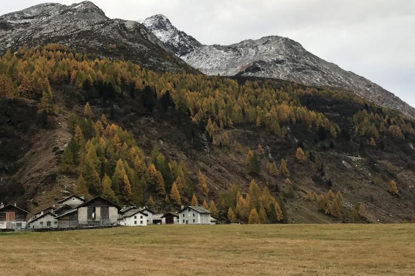 CasaBellavista Isola - foto 32