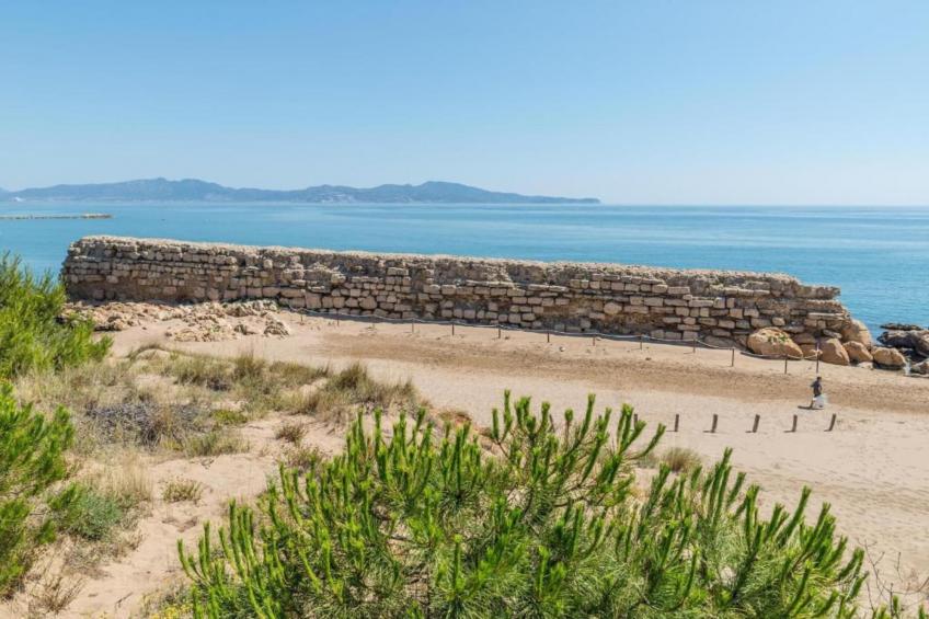 COSSIS 61B - foto 29