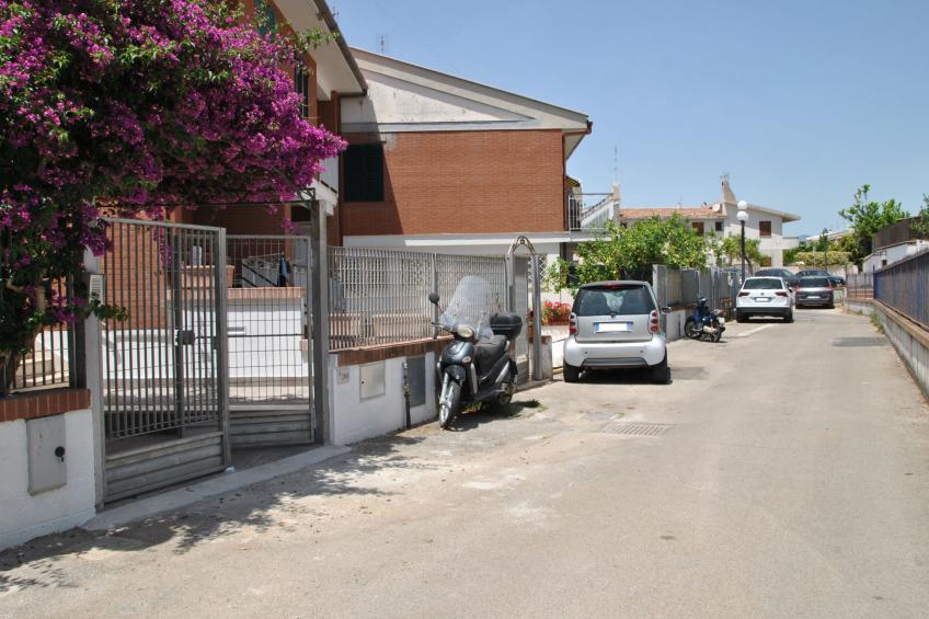 Bouganville - foto 27