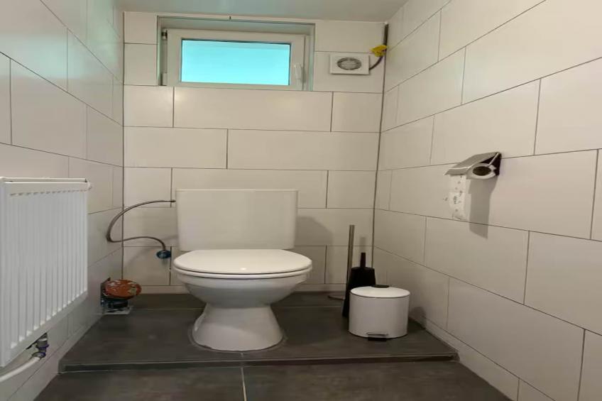 L'Ecureuil Blanc - foto 33