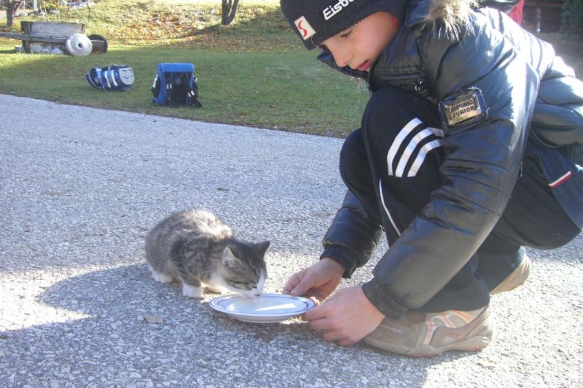 Kompatscherhof - foto 2