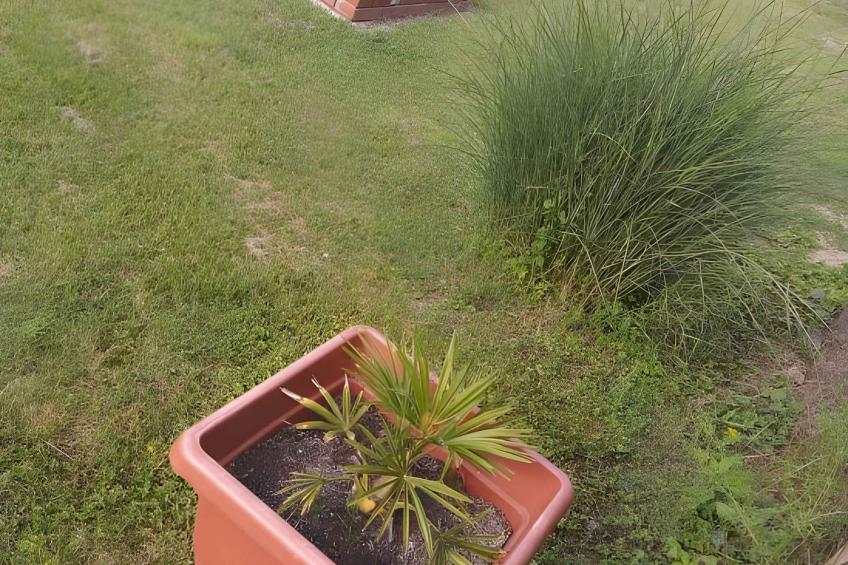 appartement de vacances douche massante - BF-N4D3 - foto 2
