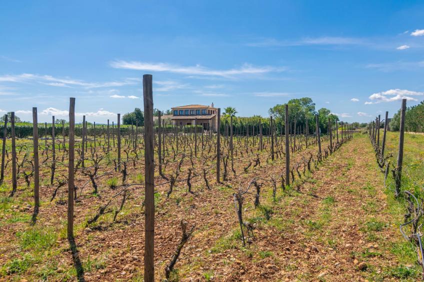 Finca Aria - foto 57