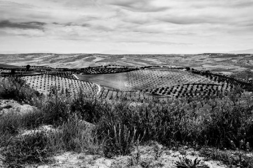Valparaiso - foto 54