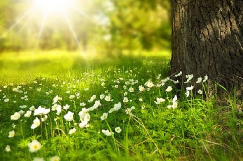 Schöne Moderne Ferienwohnung für 2-4 Personen + Hund in Sankt Andreasberg im Ob - foto 15