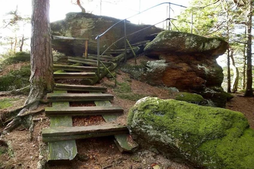 Haus Buchberg - foto 29