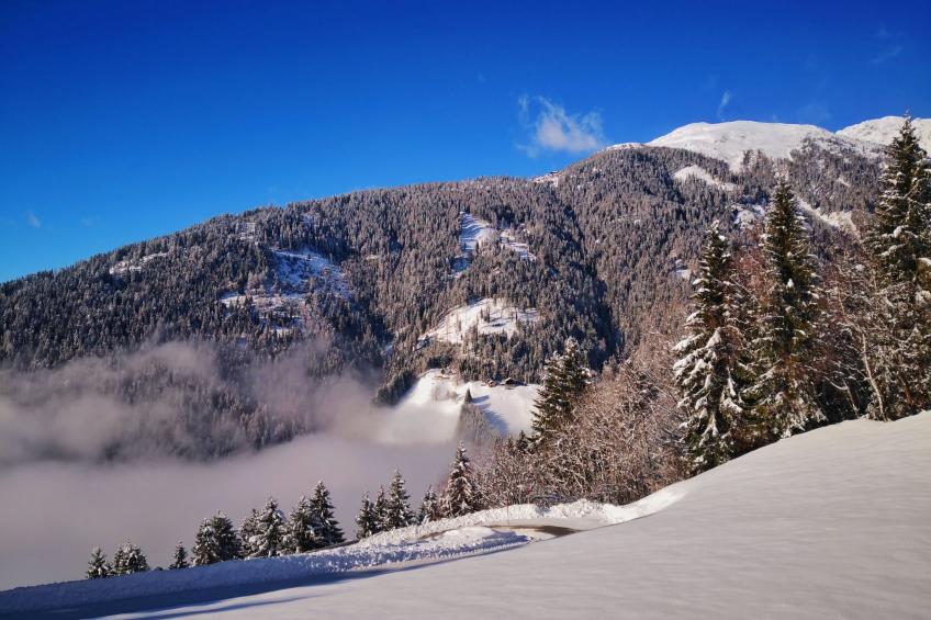 Almhütte Enzian - foto 30