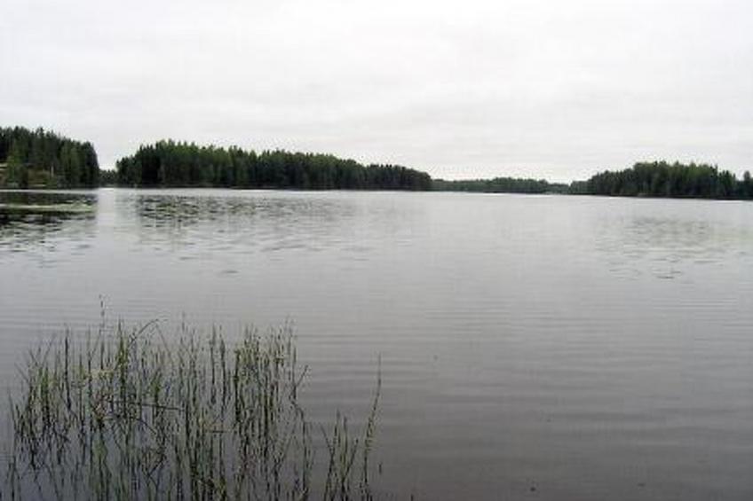 Kärkelä - foto 26