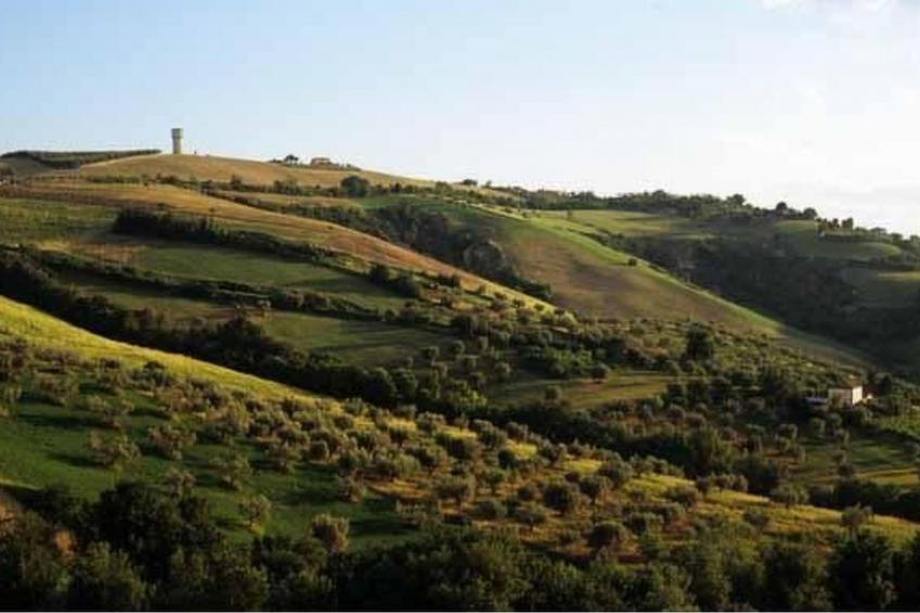 in Notaresco mit Grill und Garten - foto 2