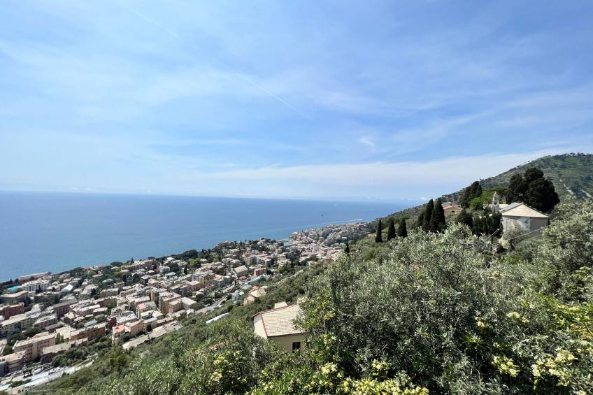 Gemütliche, helle Ferienwohnung Leda - foto 22